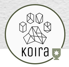 Koira