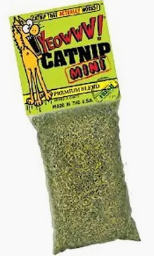 Yeowww! Catnip