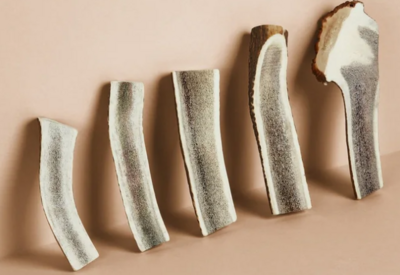 Canophera Red Deer Antler Split