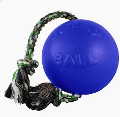 Jolly Ball Romp N Roll