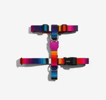 Zeedog Prisma Harness