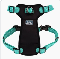 Coastal K9 Explorer Harness