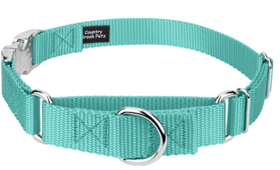 Heavyduty Nylon Martingale with Premium Buckle Light Cyan
