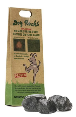 Dog Rocks