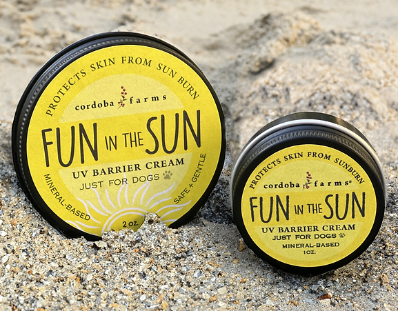 Fun in the Sun 2oz
