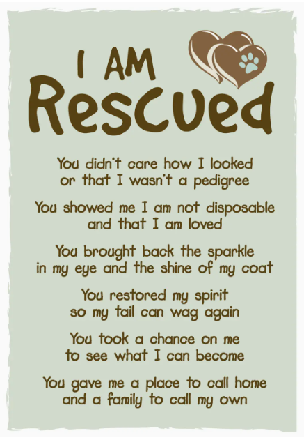 Rescue Animal Card
