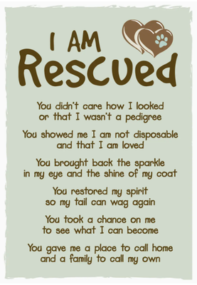 Rescue Animal Card