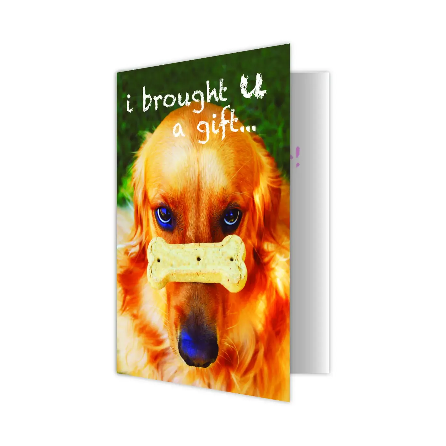 Thank You Dog Sitter Card