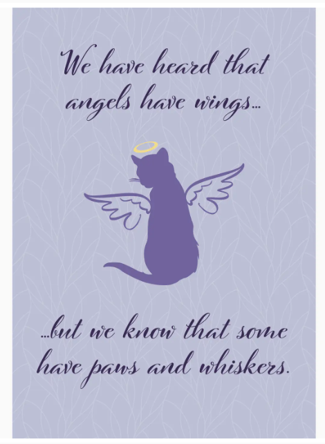 Cat Sympathy Card