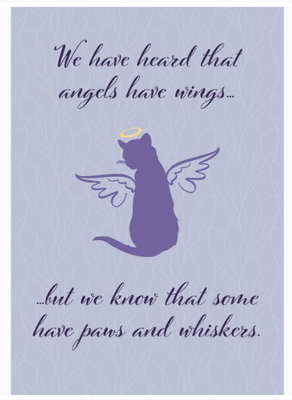 Cat Sympathy Card