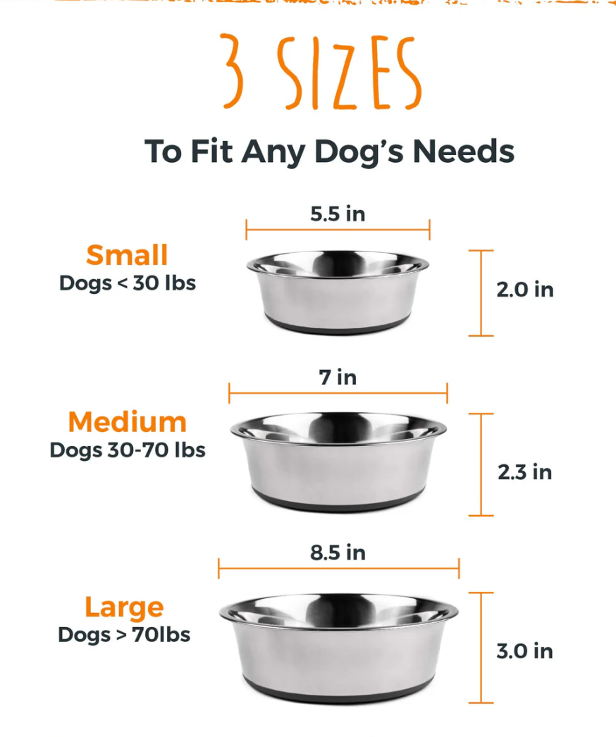 Might Paw Steel Bowls 2 Cup 2 Pack