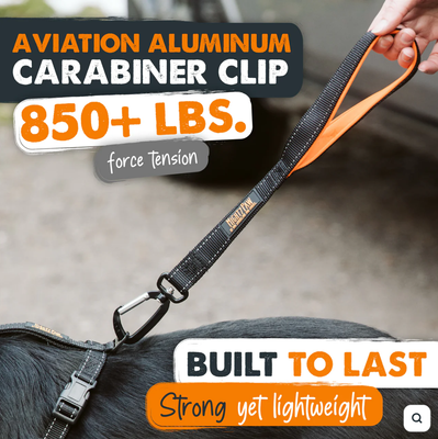 Might Paw Traffic Leash 18 inch