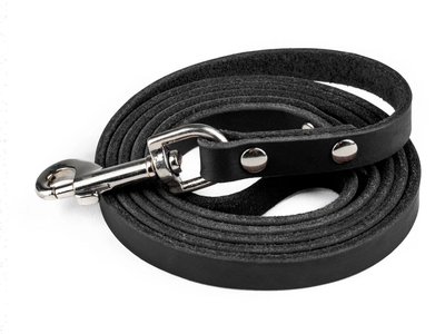 Might Paw Leather Leash Black
