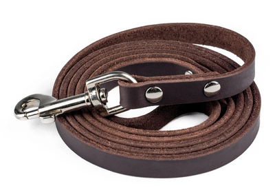 Mighty Paw Leather Leash