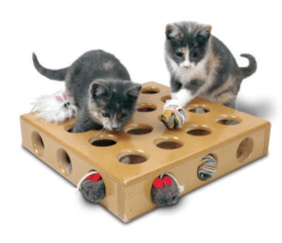 Pioneer Pet Peek A Prize Toy Box