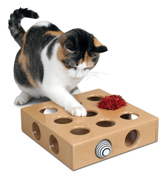 Pioneer Pet Peek And Play Toy Box