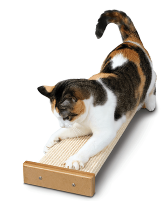 Pioneer Pet Bootsie&#39;s Combination Mountable Cat Scratcher