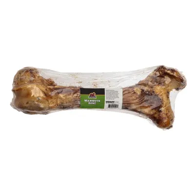 Redbarn Mammoth Bone