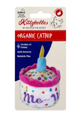 Cat Birthday Cake