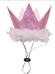 Party Crown