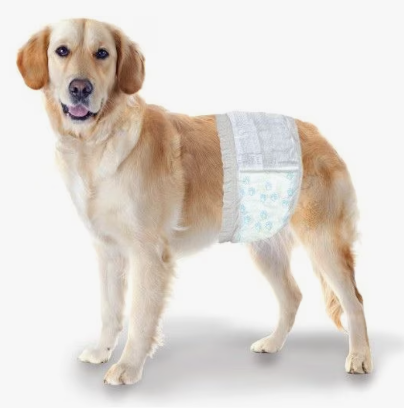 Wee Wee Disposable Male Wraps