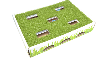 Outward Hound Grass Patch Hunting Box