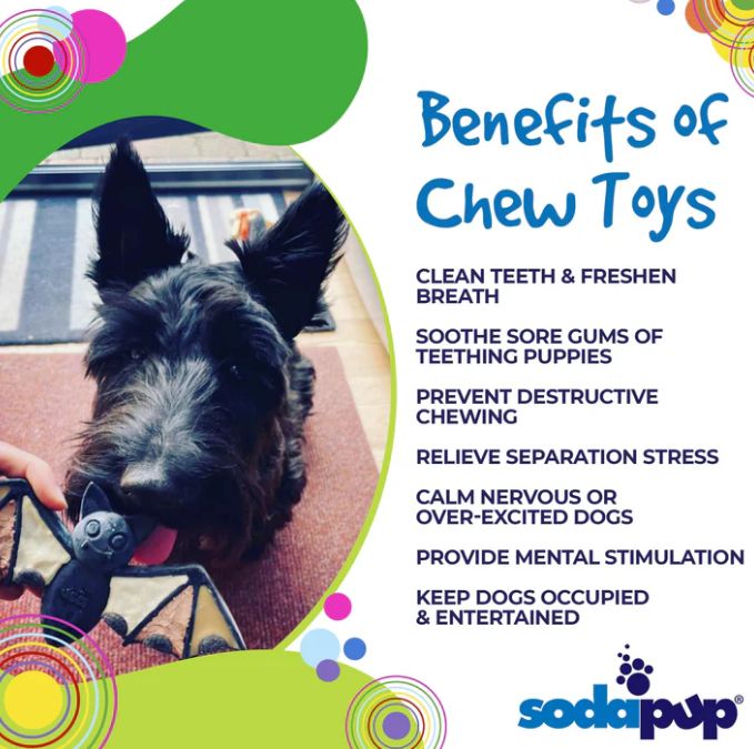 Sodapup Vampire Bat Ultra Durable Nylon Dog Chew Toy for Aggressive Chewers- Large