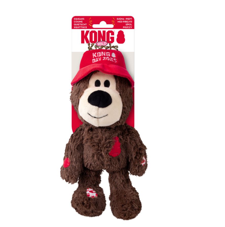 KONG Wild KNots KONG Day 2025 Pup Dog Toy