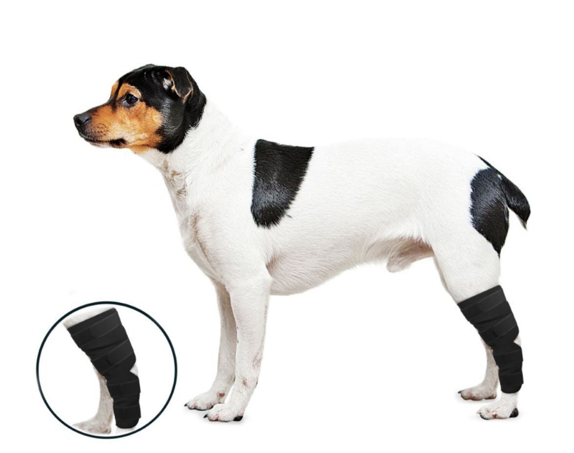 ZenPet Orthowraps for Hock