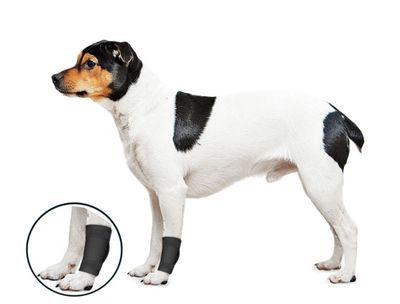 ZenPet Orthowraps Ligament Wrap