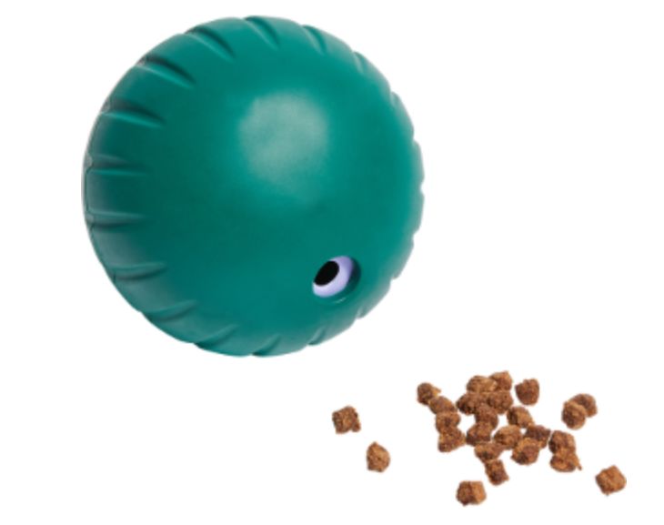 WOOF DOG FORAGER WALKABOUT