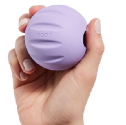 WOOF DOG FORAGER FLYBALL SINGLE LAVENDER