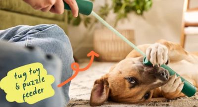 WOOF DOG FORAGER NOMCHUCK