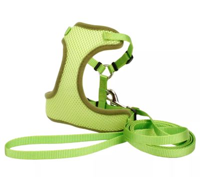 Coastal Comfort Soft Mesh Cat Harness with 6&#39; Leash