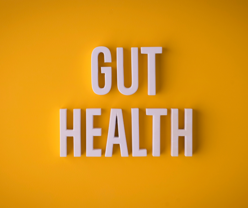 Gut