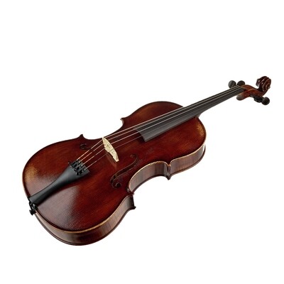 VIOLA "Junior"