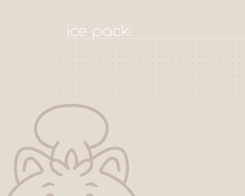 Ice packs