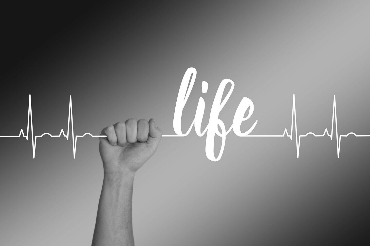 Executives & Entrepreneurs Program for Work/Life Balance: 2-Month Program