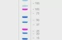 Precision Plus Protein Standards Dual Color - 1610374