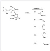 Gentamicin sulfate salt - G1264-5G