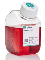 RPMI 1640 Medium - 500mL - 11875093