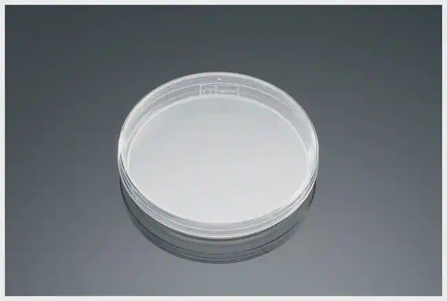 Bacteriological Petri Dishes with Lid - 100mmx15mm - CS of 500, Non-Treated, Sterile - 08-757-100D