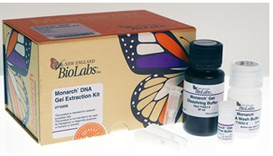 **DISCONTINUED**Monarch® DNA Gel Extraction Kit - T1020S - 50 preps