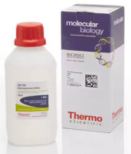 TAE Buffer (Tris-acetate-EDTA) (50X) - B49-1L