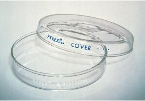 100x15mm Glass Petri Dish GLASS6068P