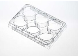 Tissue Culture Plate, Non-Treated, Sterilized, Non-Pyrogenic, 24 well, Flat, Clear, .38-.57mL, CS of 100 - 10861-558