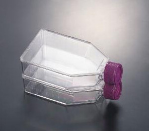 Tissue Culture Flask, Non-Treated, Sterilized, Non-Pyrogenic - 250ml, plug seal cap, CS of 100 - 10861-574