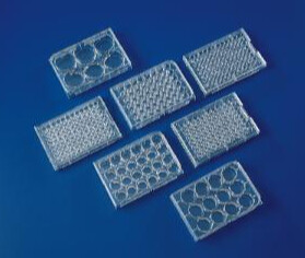 Costar® Multiple Well Cell Culture Plates, Corning, Flat-bottom plate, TC treated, individually wrapped - 5mL - CS of 50 - 29442-042