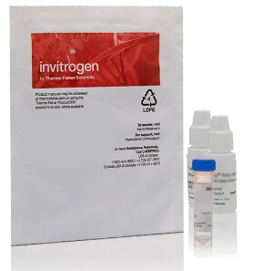 Invitrogen™ Griess Reagent Kit, for nitrite quantitation - G7921