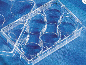 Corning™ Costar™ 6-well Clear TC-treated Multiple Well Plates, Individually Wrapped, Sterile - CS of 50 - 07-200-83
